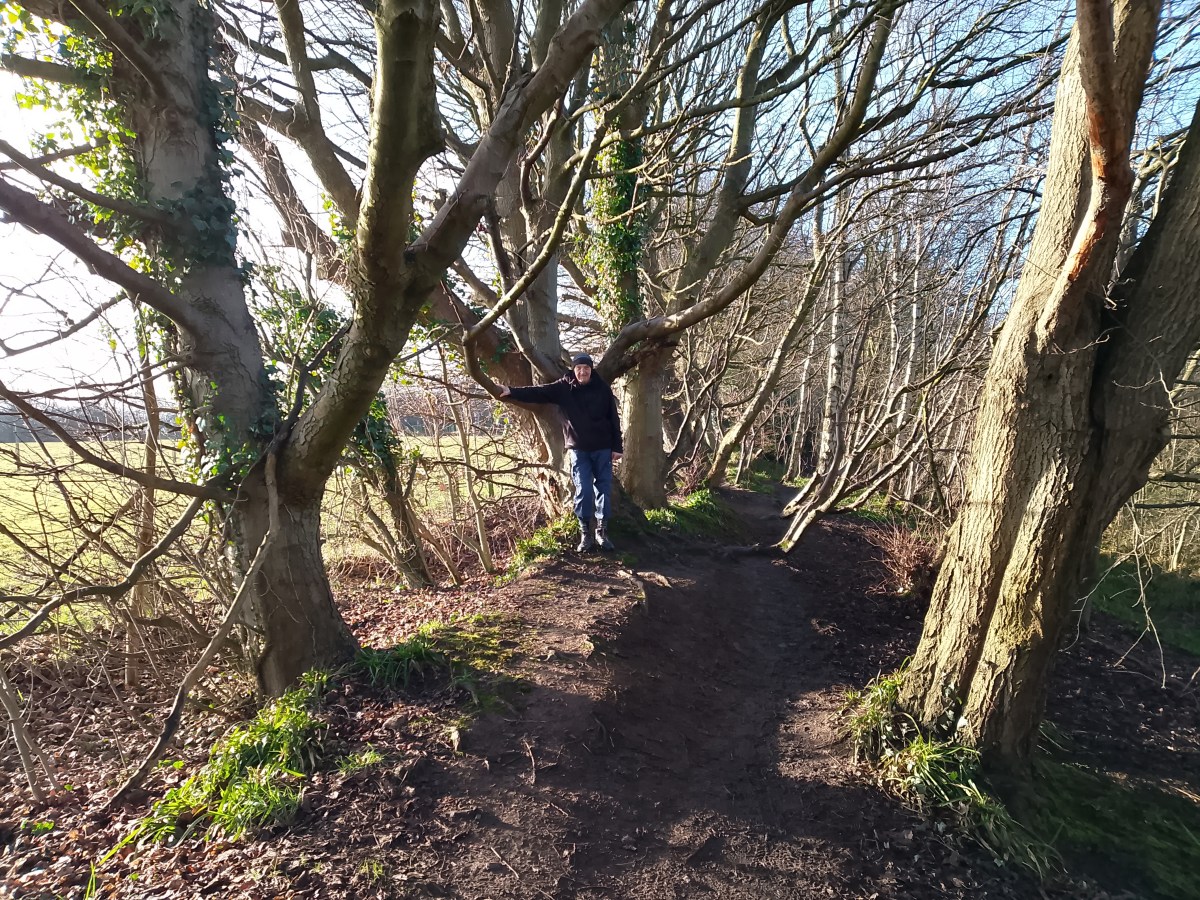 Confidence from the&nbsp;Shadows