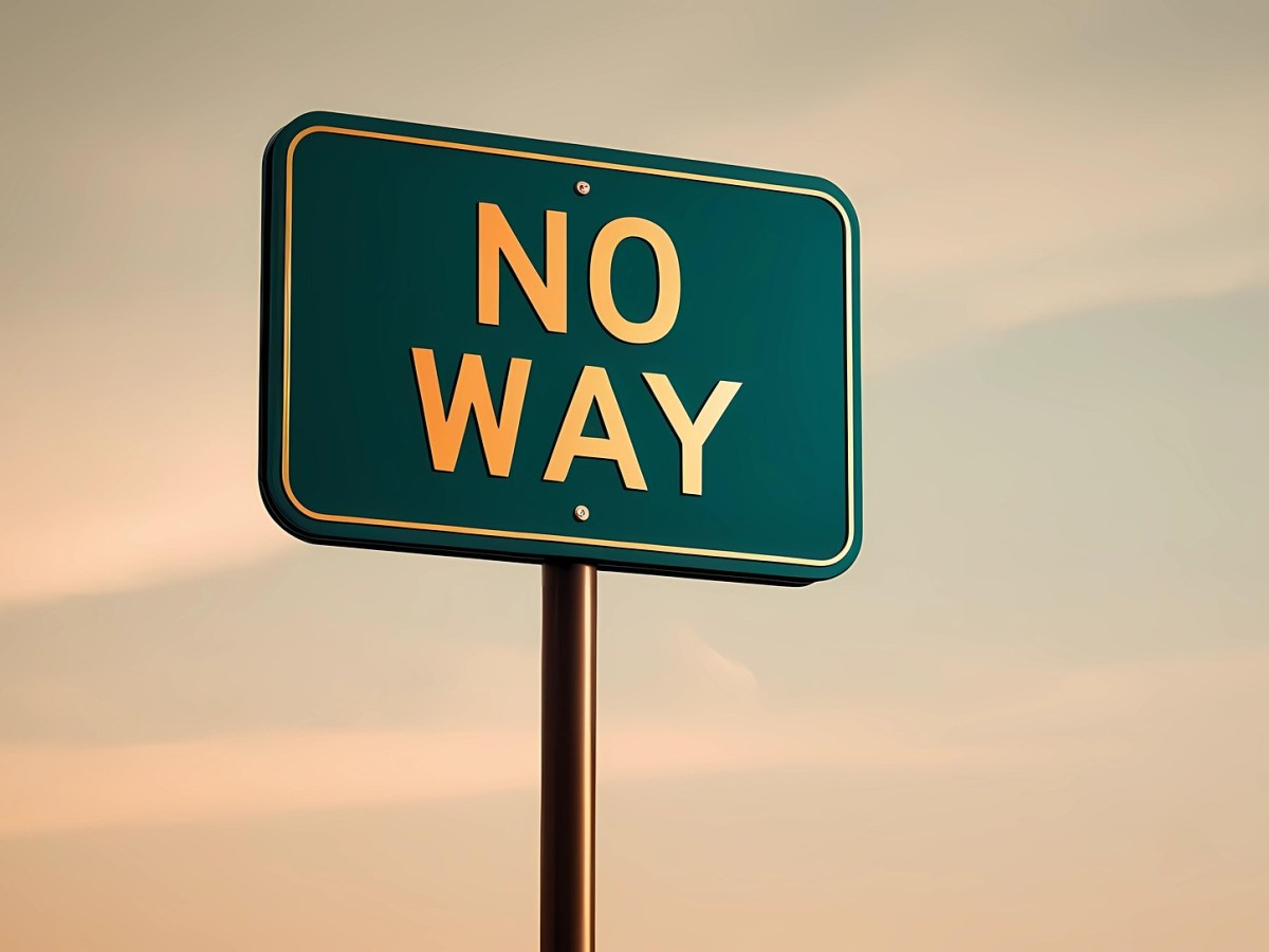 The Liberation of&nbsp;`NO’